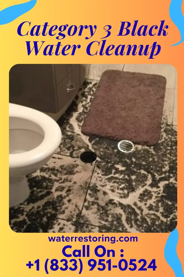 Category 3 Black Water Cleanup in Marysville, IA